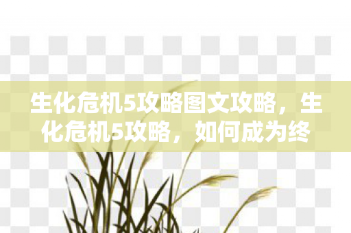 生化危机5攻略图文攻略,生化危机5攻略,如何成为终极幸存者 生化危机5攻略图文攻略,生化危机5攻略,如何成为终极幸存者