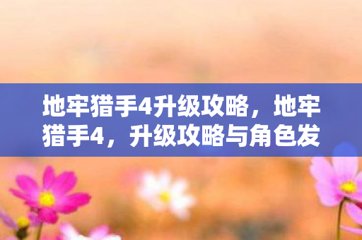 地牢猎手4升级攻略，地牢猎手4，升级攻略与角色发展指南