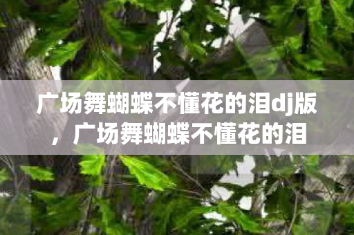 广场舞蝴蝶不懂花的泪dj版，广场舞蝴蝶不懂花的泪