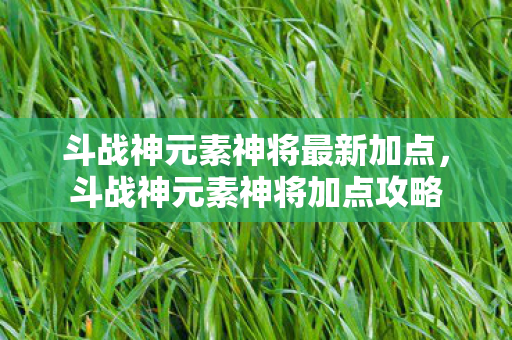 斗战神元素神将最新加点,斗战神元素神将加点攻略 斗战神元素神将最新加点,斗战神元素神将加点攻略