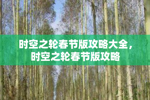 时空之轮春节版攻略大全,时空之轮春节版攻略 时空之轮春节版攻略大全,时空之轮春节版攻略