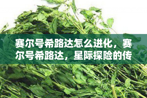 赛尔号希路达怎么进化，赛尔号希路达，星际探险的传奇之旅