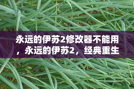 永远的伊苏2修改器不能用，永远的伊苏2，经典重生的修改器探索