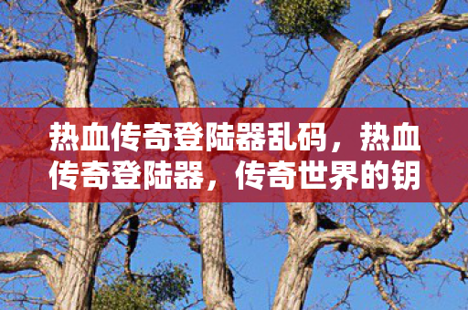 热血传奇登陆器乱码，热血传奇登陆器，传奇世界的钥匙