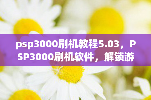 psp3000刷机教程5.03,PSP3000刷机软件,解锁游戏新世界的钥匙 psp3000刷机教程5.03,PSP3000刷机软件,解锁游戏新世界的钥匙