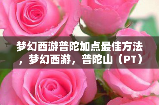 梦幻西游普陀加点最佳方法，梦幻西游，普陀山（PT）角色加点全解析