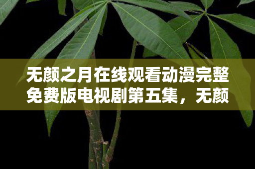 无颜之月在线观看动漫完整免费版电视剧第五集，无颜之月，探索美的深层含义