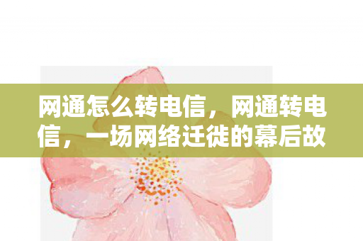 网通怎么转电信，网通转电信，一场网络迁徙的幕后故事