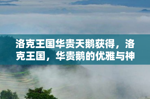 洛克王国华贵天鹅获得，洛克王国，华贵鹅的优雅与神秘