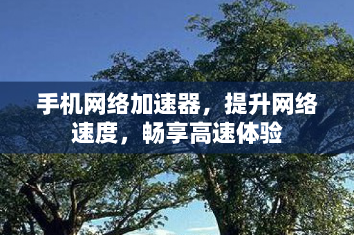 手机网络加速器,提升网络速度,畅享高速体验 手机网络加速器,提升网络速度,畅享高速体验
