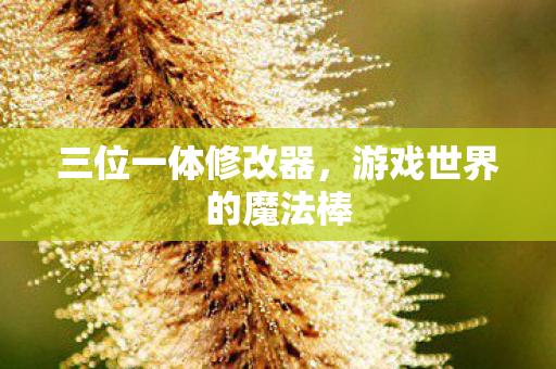 三位一体修改器，游戏世界的魔法棒