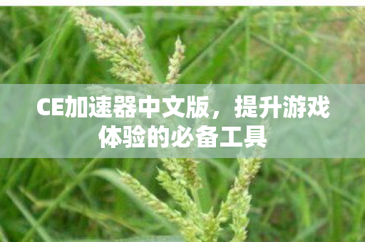 CE加速器中文版，提升游戏体验的必备工具