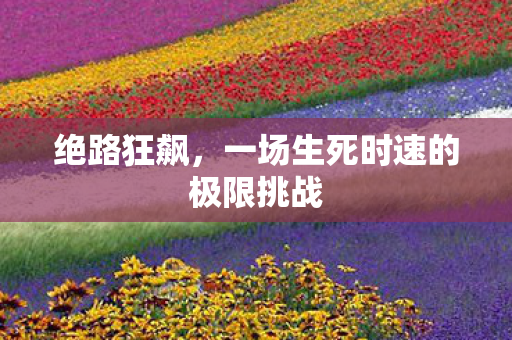 绝路狂飙，一场生死时速的极限挑战