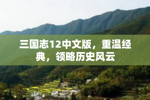 三国志12中文版，重温经典，领略历史风云