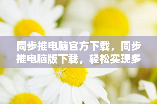 同步推电脑官方下载，同步推电脑版下载，轻松实现多设备同步的绝佳工具