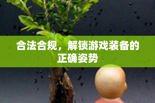 合法合规,解锁游戏装备的正确姿势 合法合规,解锁游戏装备的正确姿势