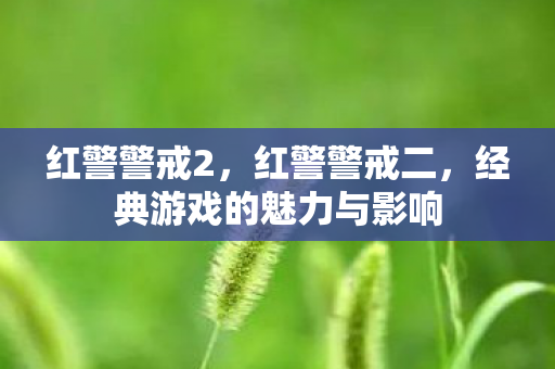 红警警戒2，红警警戒二，经典游戏的魅力与影响