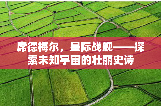 席德梅尔，星际战舰——探索未知宇宙的壮丽史诗