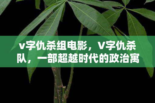 v字仇杀组电影，V字仇杀队，一部超越时代的政治寓言
