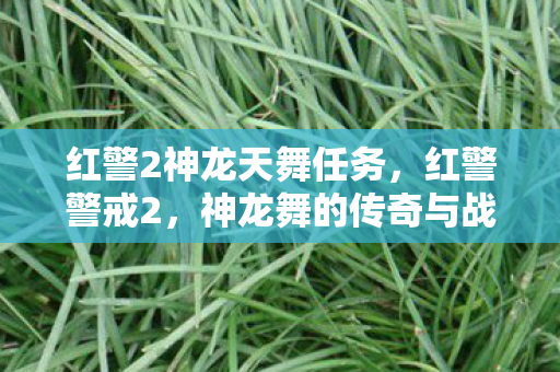 红警2神龙天舞任务图片