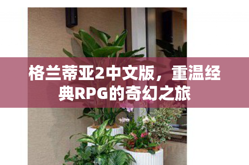 格兰蒂亚2中文版，重温经典RPG的奇幻之旅