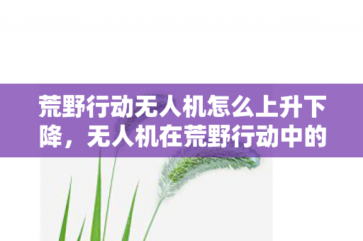 荒野行动无人机怎么上升下降，无人机在荒野行动中的新角色，探索与冒险的完美结合