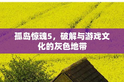 孤岛惊魂5，破解与游戏文化的灰色地带
