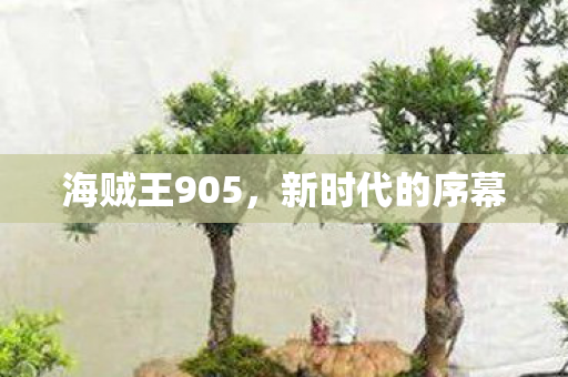 海贼王905，新时代的序幕