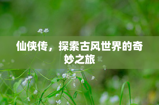 仙侠传，探索古风世界的奇妙之旅