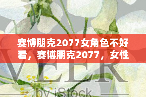 赛博朋克2077女角色不好看，赛博朋克2077，女性角色魅力解析