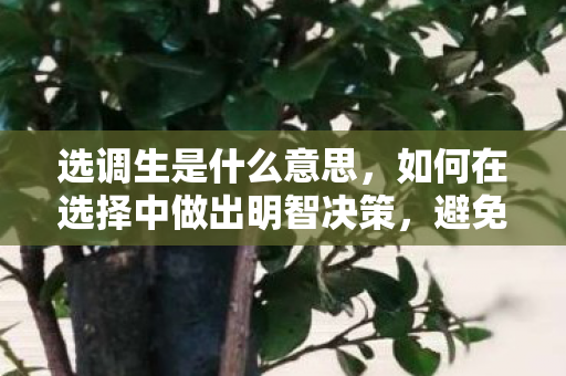 选调生是什么意思，如何在选择中做出明智决策，避免后悔与遗憾