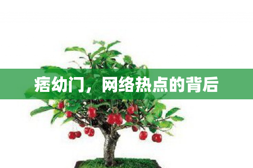 痞幼门，网络热点的背后