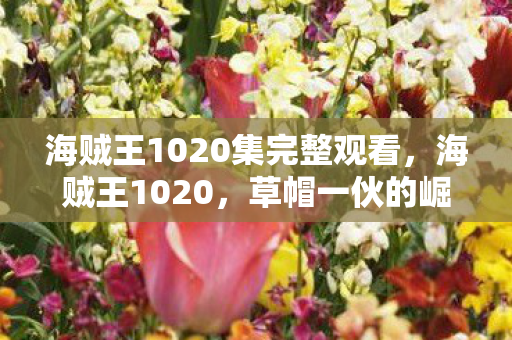 海贼王1020集完整观看,海贼王1020,草帽一伙的崛起与未来展望 海贼王1020集完整观看,海贼王1020,草帽一伙的崛起与未来展望