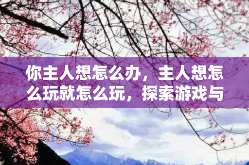 你主人想怎么办，主人想怎么玩就怎么玩，探索游戏与自由的边界