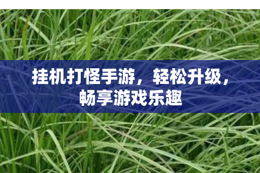 挂机打怪手游，轻松升级，畅享游戏乐趣