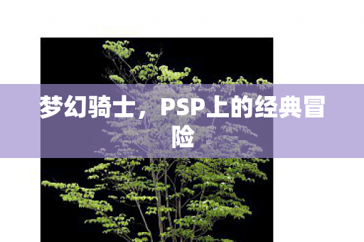 梦幻骑士，PSP上的经典冒险