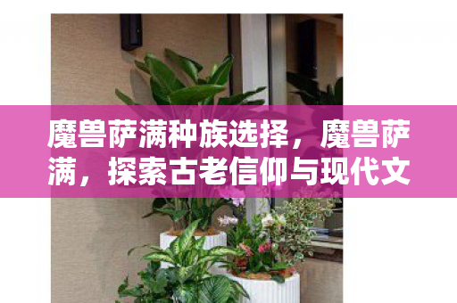 魔兽萨满种族选择,魔兽萨满,探索古老信仰与现代文化的交融 魔兽萨满种族选择,魔兽萨满,探索古老信仰与现代文化的交融
