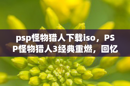 psp怪物猎人下载iso，PSP怪物猎人3经典重燃，回忆与技巧的完美融合