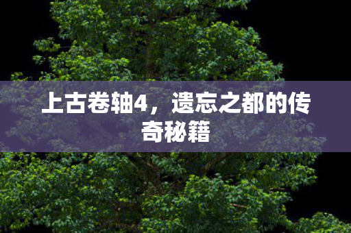 上古卷轴4，遗忘之都的传奇秘籍