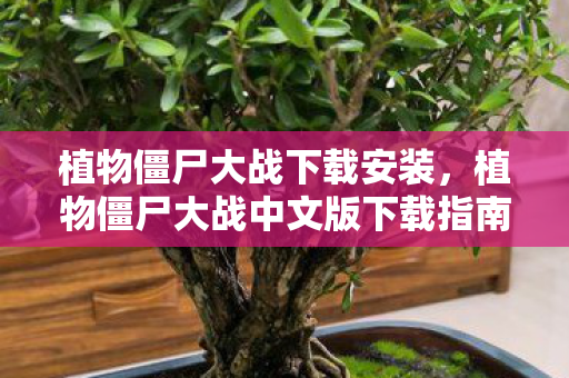 植物僵尸大战下载安装，植物僵尸大战中文版下载指南