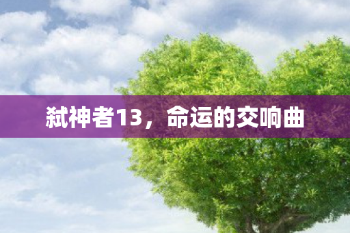 弑神者13，命运的交响曲