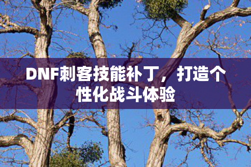 DNF刺客技能补丁，打造个性化战斗体验