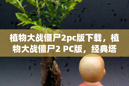 植物大战僵尸2pc版下载，植物大战僵尸2 PC版，经典塔防游戏的全新挑战