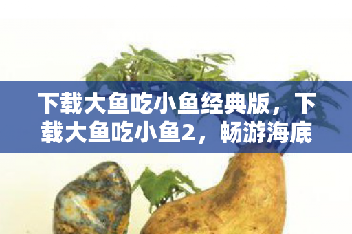下载大鱼吃小鱼经典版，下载大鱼吃小鱼2，畅游海底世界的冒险之旅