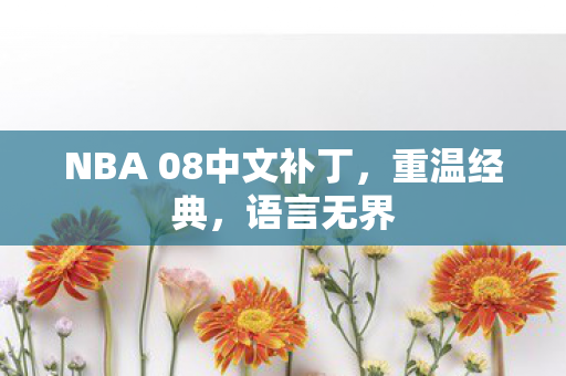 NBA 08中文补丁,重温经典,语言无界 NBA 08中文补丁,重温经典,语言无界