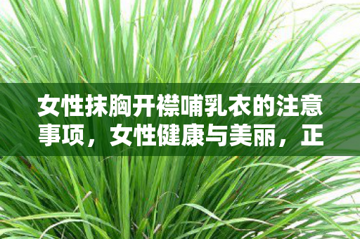 女性抹胸开襟哺乳衣的注意事项，女性健康与美丽，正确认识献胸现象