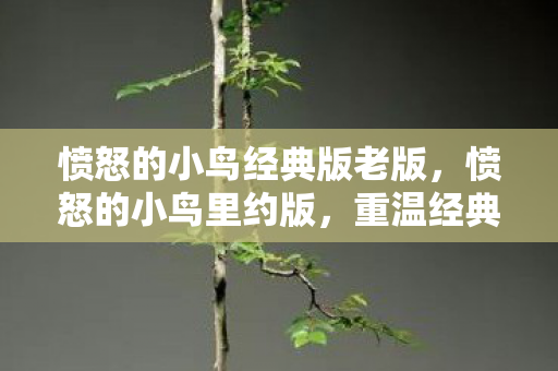 愤怒的小鸟经典版老版，愤怒的小鸟里约版，重温经典，挑战无限