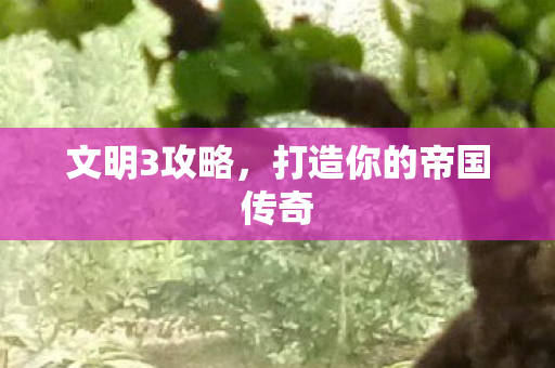 文明3攻略，打造你的帝国传奇