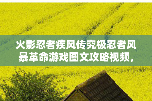 火影忍者疾风传究极忍者风暴革命游戏图文攻略视频,火影忍者疾风传,究极忍者风暴-革命——一场视觉与操作的盛宴 火影忍者疾风传究极忍者风暴革命游戏图文攻略视频,火影忍者疾风传,究极忍者风暴-革命——一场视觉与操作的盛宴