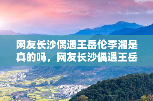 网友长沙偶遇王岳伦李湘是真的吗，网友长沙偶遇王岳伦李湘，一家温馨出游